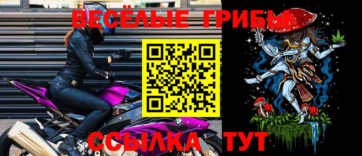 Галлюциногенные грибы Psilocybine cubensis Ступино