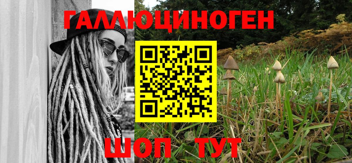 Ступино  Галлюциногенные грибы прущие грибы  Вход с VPN 